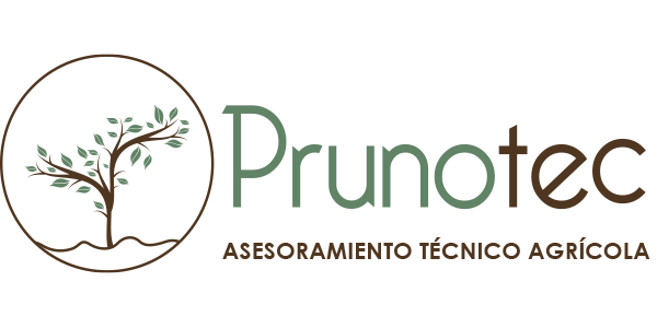 Logo de Prunotec