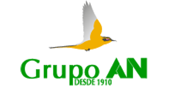 Logo de Grupo AN