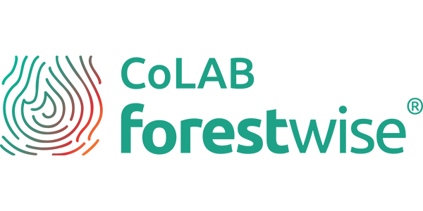 Logo de FOREST WISE