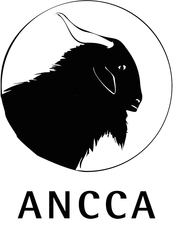 Logo de ANCCA