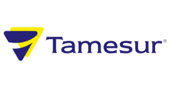 Logo de Tamesur