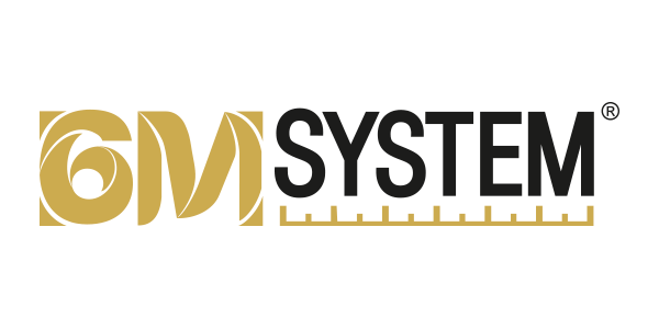 Logo de 6M System