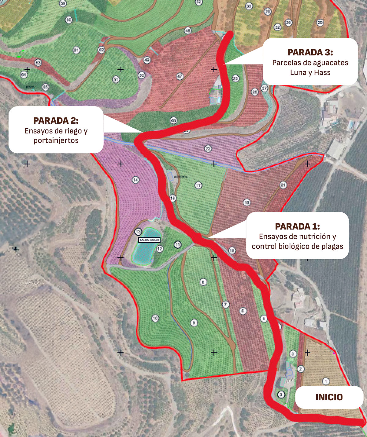 Recorrido por el centro de innovaci�n de Trops