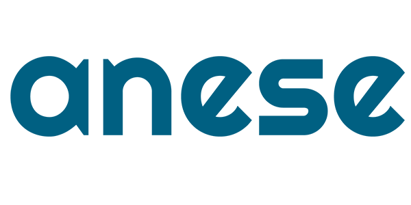Logo de ANESE
